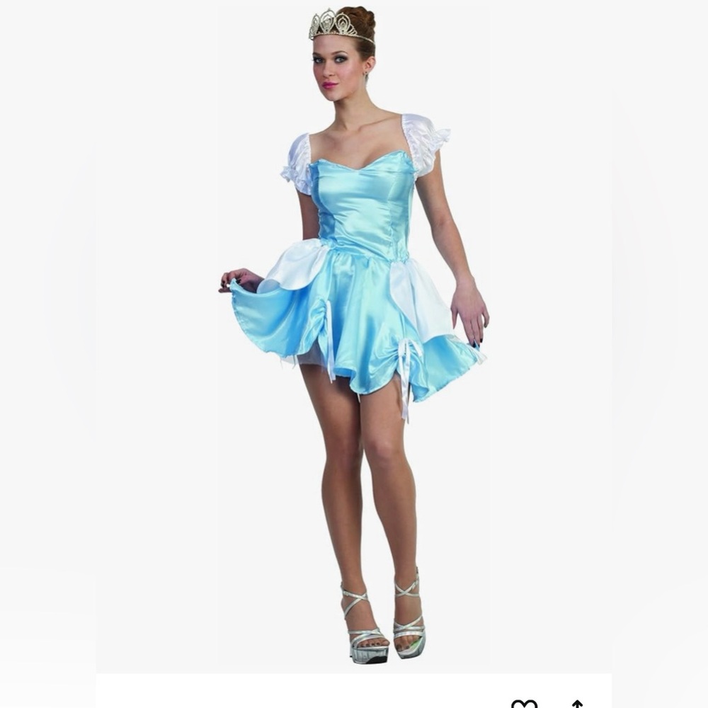 Cinderella Adult Costume,Adult Size 2-4, - Satin Dress ,blue & white,